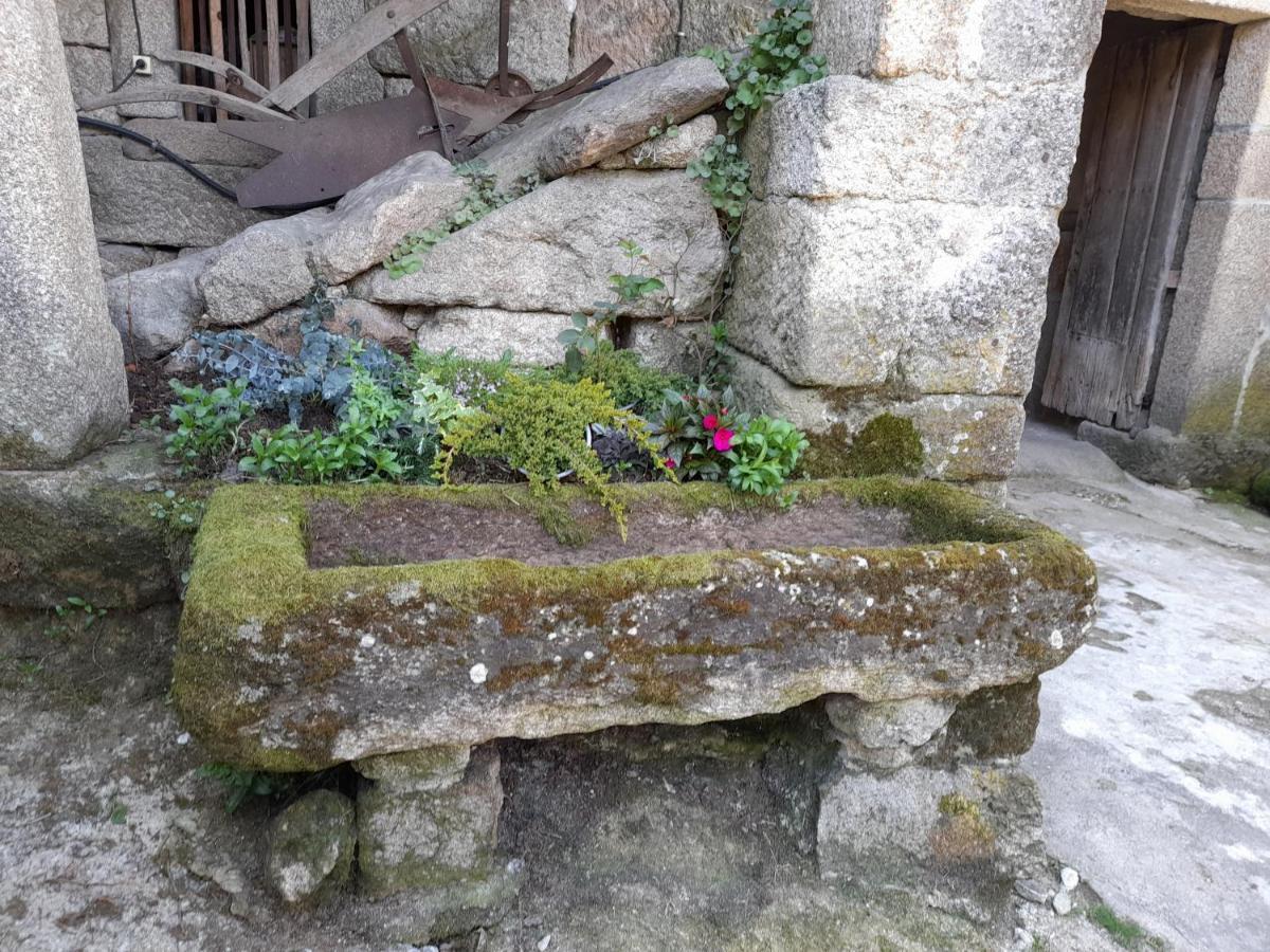Casa Padre Manuel Do Couto Βίλα Vila Pouca de Aguiar Εξωτερικό φωτογραφία