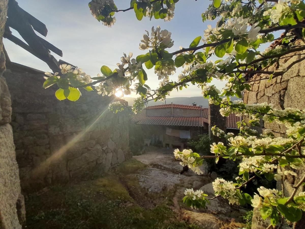 Casa Padre Manuel Do Couto Βίλα Vila Pouca de Aguiar Εξωτερικό φωτογραφία