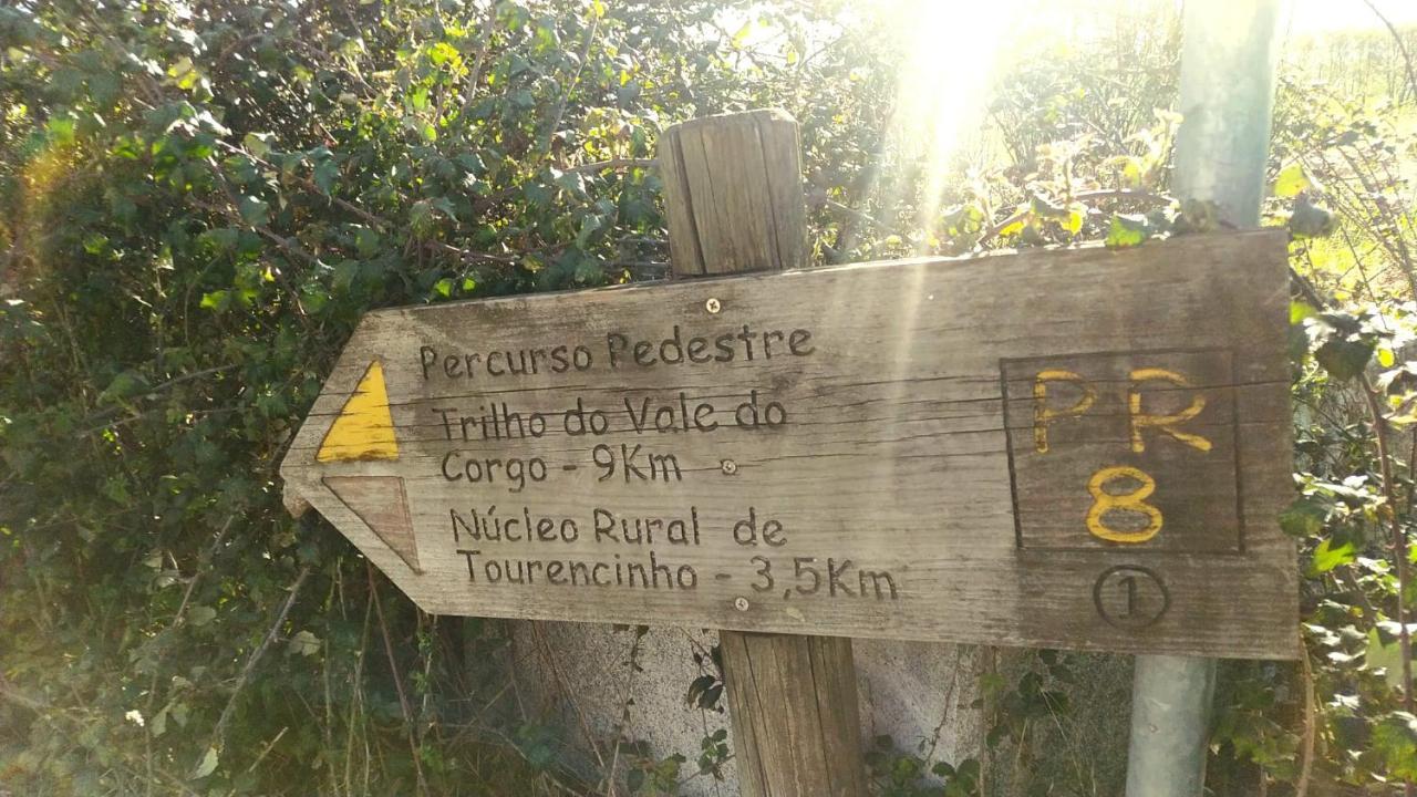 Casa Padre Manuel Do Couto Βίλα Vila Pouca de Aguiar Εξωτερικό φωτογραφία